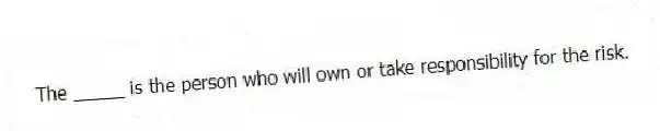 The _____ is the person who will own or take responsibility for the risk.
