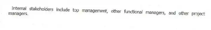 Internal stakeholders include top management, other functional managers, and other project managers.