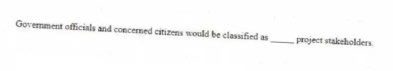 Government officials and concerned citizens would be classified as _____ project stakeholders.