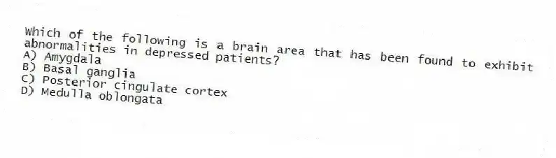 Which of the following is a brain area that has been found to exhibit abnormalities in depressed patients?
A) Amygdala
B) Basal ganglia
C) Posterior cingulate cortex
D) Medulla oblongata