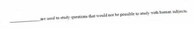 ______________are used to study questions that would not be possible to study with human subjects.
