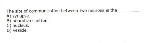 The site of communication between two neurons is the ________
A) synapse.
B) neurotransmitter.
C) nucleus.
D) vesicle.