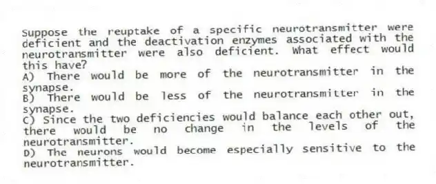 Suppose the reuptake of a specific neurotransmitter were deficient and the deactivation enzymes associated with the neurotransmitter were also deficient. What effect would this have?
A) There would be more of the neurotransmitter in the synapse.
B) There would be less of the neurotransmitter in the synapse.
C) Since the two deficiencies would balance each other out, there would be no change in the levels of the neurotransmitter.
D) The neurons would become especially sensitive to the neurotransmitter.