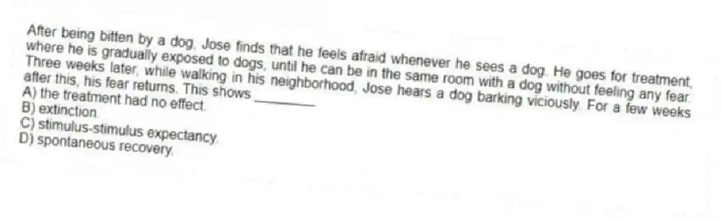 After being bitten by a dog, Jose finds that he feels afraid whenever he sees a dog. He goes for treatment, where he is gradually exposed to dogs, until he can be in the same room with a dog without feeling any fear. Three weeks later, while walking in his neighborhood, Jose hears a dog barking viciously. For a few weeks after this, his fear returns. This shows ________
A) the treatment had no effect.
B) extinction.
C) stimulus-stimulus expectancy.
D) spontaneous recovery.