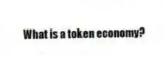 What is a token economy?