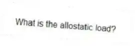 What is the allostatic load?