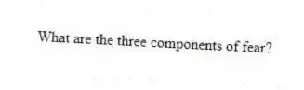 What are the three components of fear?
