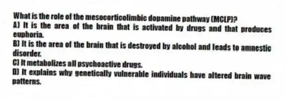 What is the role of the mesocorticolimbic dopamine pathway (MCLP)?
A) It is the area of the brain that is activated by drugs and that produces euphoria.
B) It is the area of the brain that is destroyed by alcohol and leads to amnestic disorder.
C) It metabolizes all psychoactive drugs.
D) It explains why genetically vulnerable individuals have altered brain wave patterns.