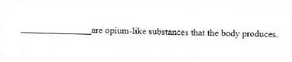 _______________are opium-like substances that the body produces.