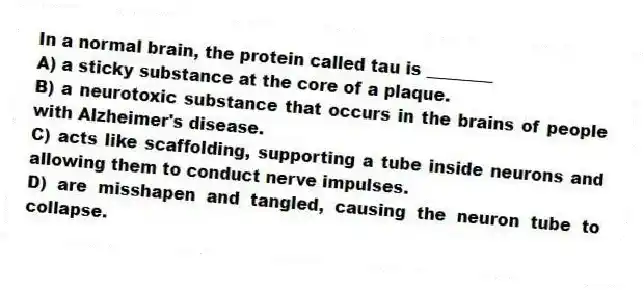 In a normal brain, the protein called tau is ________
A) a sticky substance at the core of a plaque.
B) a neurotoxic substance that occurs in the brains of people with Alzheimer's disease.
C) acts like scaffolding, supporting a tube inside neurons and allowing them to conduct nerve impulses.
D) are misshapen and tangled, causing the neuron tube to collapse.