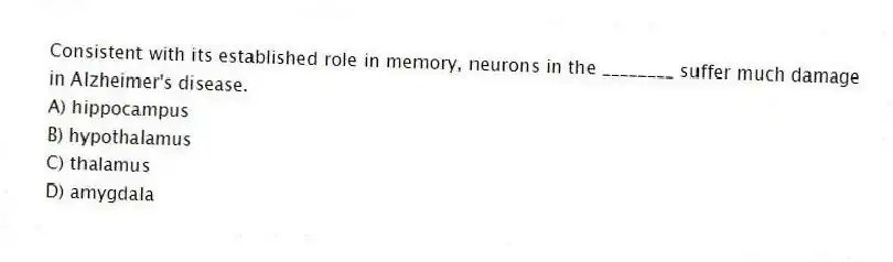 Consistent with its established role in memory, neurons in the ________ suffer much damage in Alzheimer's disease.
A) hippocampus
B) hypothalamus
C) thalamus
D) amygdala