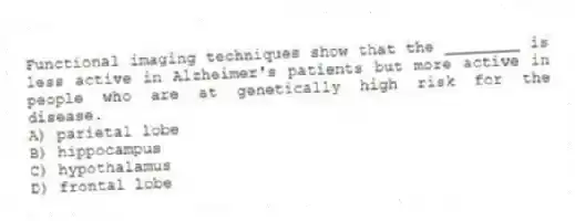 Functional imaging techniques show that the ________ is less active in Alzheimer's patients but more active in people who are at genetically high risk for the disease.
A) parietal lobe
B) hippocampus
C) hypothalamus
D) frontal lobe