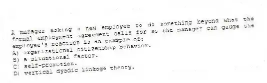 A manager asking a new employee to do something beyond what the formal employment agreement calls for so the manager can gauge the employee's reaction is an example of:
A) organizational citizenship behavior.
B) a situational factor.
C) self-promotion.
D) vertical dyadic linkage theory.