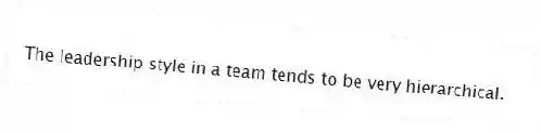 The leadership style in a team tends to be very hierarchical.