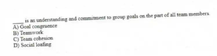 ____ is an understanding and commitment to group goals on the part of all team members.
A) Goal congruence
B) Teamwork
C) Team cohesion
D) Social loafing