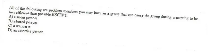 All of the following are problem members you may have in a group that can cause the group during a meeting to be less efficient than possible EXCEPT:
A) a silent person.
B) a bored person.
C) a wanderer.
D) an assertive person.