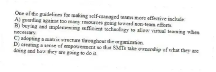 One of the guidelines for making self-managed teams more effective include:
A) guarding against too many resources going toward non-team efforts.
B) buying and implementing sufficient technology to allow virtual teaming when necessary.
C) adopting a matrix structure throughout the organization.
D) creating a sense of empowerment so that SMTs take ownership of what they are doing and how they are going to do it.