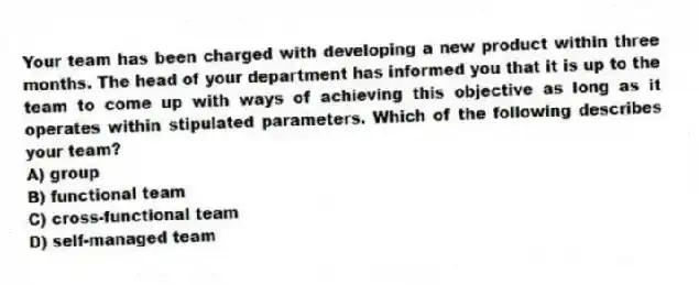 Your team has been charged with developing a new product within three months. The head of your department has informed you that it is up to the team to come up with ways of achieving this objective as long as it operates within stipulated parameters. Which of the following describes your team?
A) group
B) functional team
C) cross-functional team
D) self-managed team