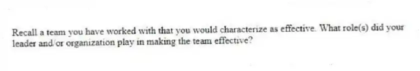 Recall a team you have worked with that you would characterize as effective. What role(s) did your leader and/or organization play in making the team effective?