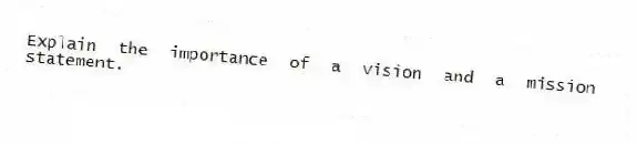 Explain the importance of a vision and a mission statement.