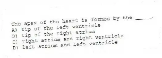 The apex of the heart is formed by the _____.
A) tip of the left ventricle
B) tip of the right atrium
C) right atrium and right ventricle
D) left atrium and left ventricle