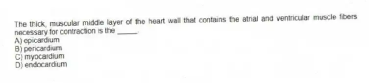 The thick, muscular middle layer of the heart wall that contains the atrial and ventricular muscle fibers necessary for contraction is the _____.
A) epicardium
B) pericardium
C) myocardium
D) endocardium