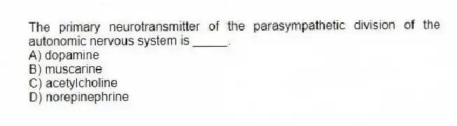The primary neurotransmitter of the parasympathetic division of the autonomic nervous system is _____.
A) dopamine
B) muscarine
C) acetylcholine
D) norepinephrine