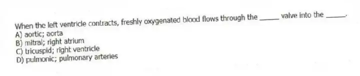 When the left ventricle contracts, freshly oxygenated blood flows through the _____ valve into the _____.
A) aortic; aorta
B) mitral; right atrium
C) tricuspid; right ventricle
D) pulmonic; pulmonary arteries