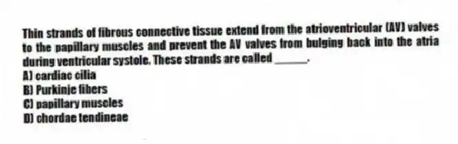 Thin strands of fibrous connective tissue extend from the atrioventricular (AV) valves to the papillary muscles and prevent the AV valves from bulging back into the atria during ventricular systole. These strands are called _____.
A) cardiac cilia
B) Purkinje fibers
C) papillary muscles
D) chordae tendineae