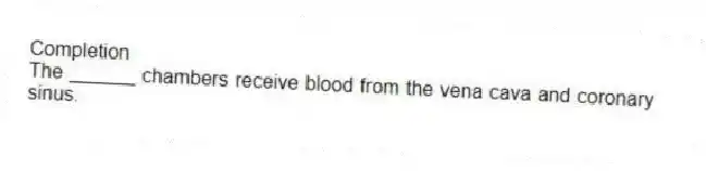 Completion
-The ______ chambers receive blood from the vena cava and coronary sinus.