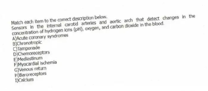 Match each item to the correct description below.
-Sensors in the internal carotid arteries and aortic arch that detect changes in the concentration of hydrogen ions (pH), oxygen, and carbon dioxide in the blood.
A)Acute coronary syndromes
B)Chronotropic
C)Tamponade
D)Chemoreceptors
E)Mediastinum
F)Myocardial ischemia
G)Venous return
H)Baroreceptors
I)Calcium