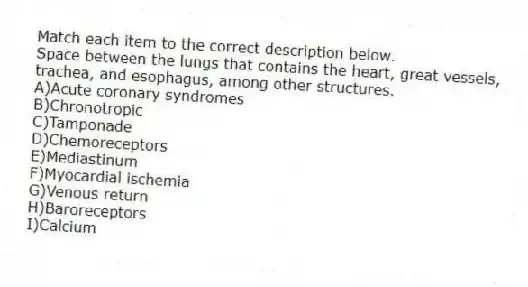 Match each item to the correct description below.
-Space between the lungs that contains the heart, great vessels, trachea, and esophagus, among other structures.
A)Acute coronary syndromes
B)Chronotropic
C)Tamponade
D)Chemoreceptors
E)Mediastinum
F)Myocardial ischemia
G)Venous return
H)Baroreceptors
I)Calcium