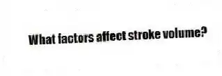 What factors affect stroke volume?