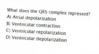 What does the QRS complex represent?
A) Atrial depolarization
B) Ventricular contraction
C) Ventricular repolarization
D) Ventricular depolarization