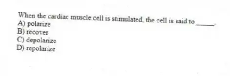 When the cardiac muscle cell is stimulated, the cell is said to _____.
A) polarize
B) recover
C) depolarize
D) repolarize