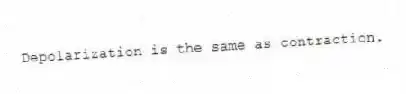 Depolarization is the same as contraction.