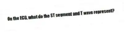 On the ECG, what do the ST segment and T wave represent?