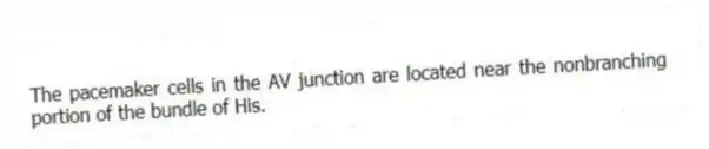 The pacemaker cells in the AV junction are located near the nonbranching portion of the bundle of His.