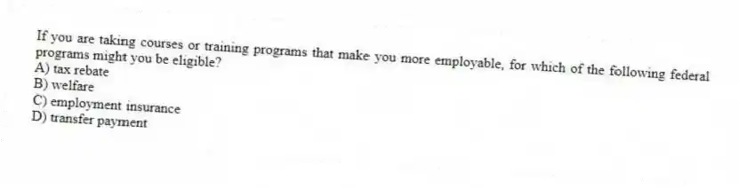 If you are taking courses or training programs that make you more employable, for which of the following federal programs might you be eligible?
A) tax rebate
B) welfare
C) employment insurance
D) transfer payment