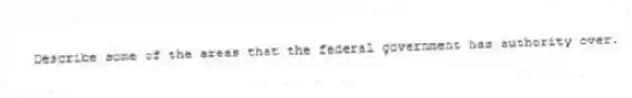 Describe some of the areas that the federal government has authority over.