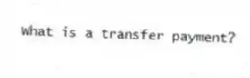 What is a transfer payment?