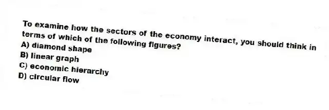 To examine how the sectors of the economy interact, you should think in terms of which of the following figures?
A) diamond shape
B) linear graph
C) economic hierarchy
D) circular flow