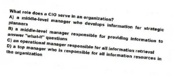 What role does a CIO serve in an organization?
A) a middle-level manager who develops information for strategic planners
B) a middle-level manager responsible for providing information to answer "what-if" questions
C) an operational manager responsible for all information retrieval
D) a top manager who is responsible for all information resources in the organization