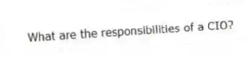 What are the responsibilities of a CIO?
