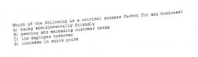 Which of the following is a critical success factor for any business?
A) being environmentally friendly
B) meeting and exceeding customer needs
C) low employee turnover
D) increase in stock price