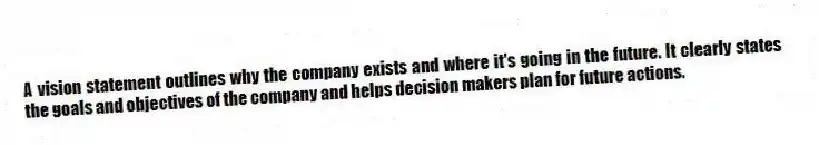 A vision statement outlines why the company exists and where it's going in the future. It clearly states the goals and objectives of the company and helps decision makers plan for future actions.