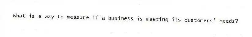 What is a way to measure if a business is meeting its customers' needs?