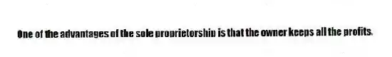 One of the advantages of the sole proprietorship is that the owner keeps all the profits.