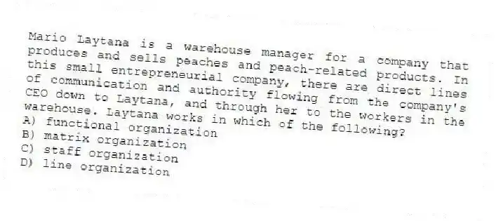 Mario Laytana is a warehouse manager for a company that produces and sells peaches and peach-related products. In this small entrepreneurial company, there are direct lines of communication and authority flowing from the company's CEO down to Laytana, and through her to the workers in the warehouse. Laytana works in which of the following?
A) functional organization
B) matrix organization
C) staff organization
D) line organization
