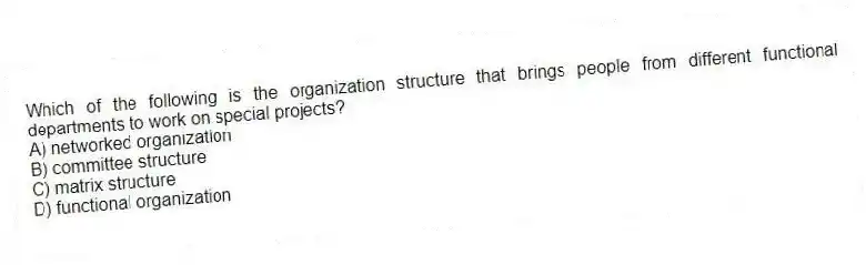 Which of the following is the organization structure that brings people from different functional departments to work on special projects?
A) networked organization
B) committee structure
C) matrix structure
D) functional organization